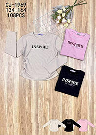 Реглани для дівчаток з мікронапиленням оптом, Sincere, 134-164 рр., арт. CJ-1969