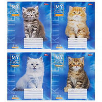 Зошит шкільний 12 аркушів у косу лінію, серія "Коти - мій пухнастий друг", білизна 100%