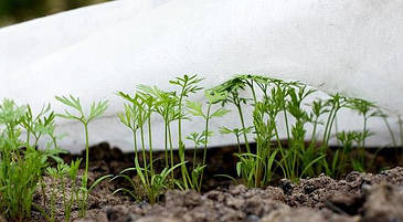 Укривні матеріали