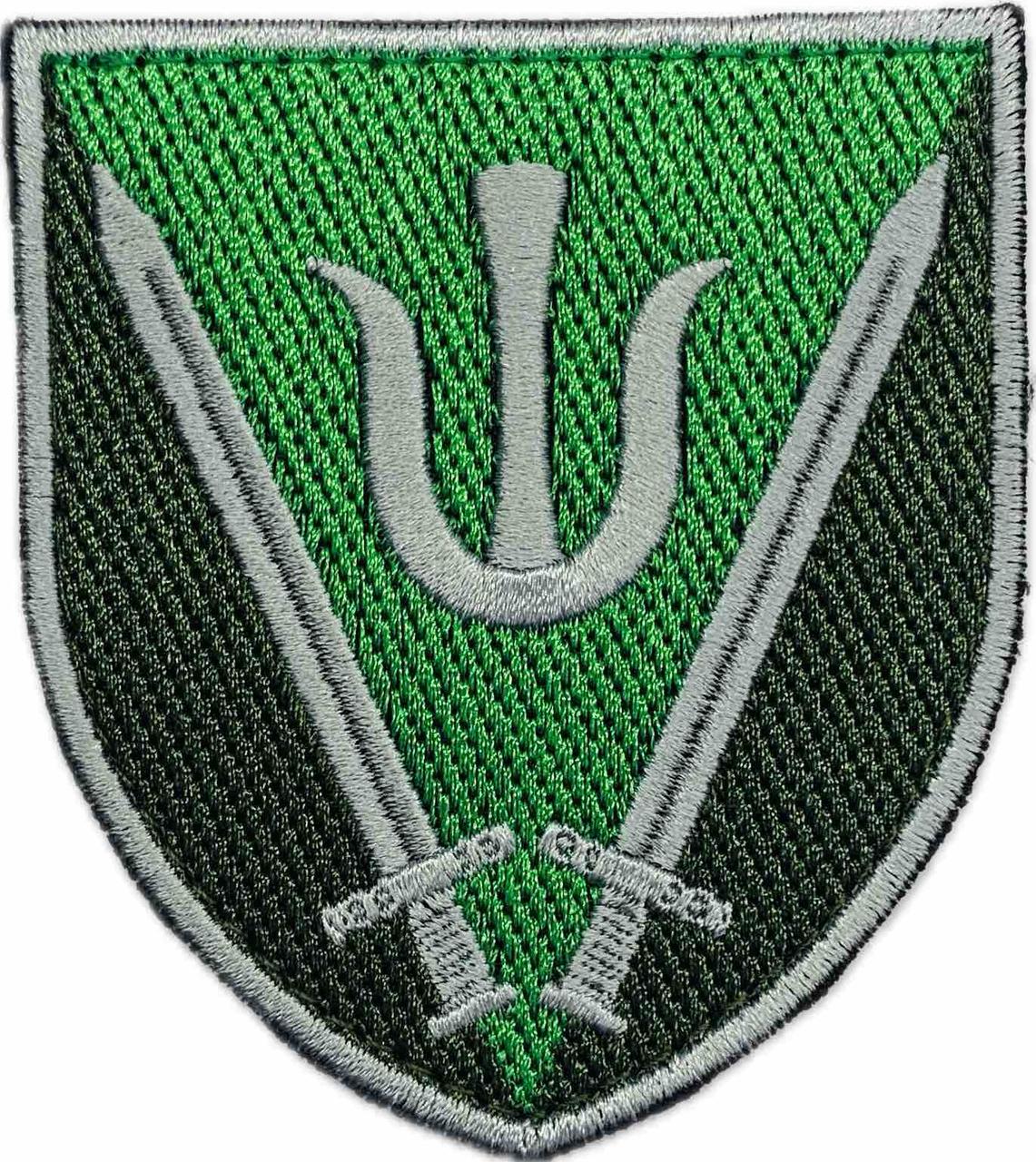 Шеврон 160 ОМБр кольоровий