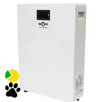 Акумуляторна батарея 5кВтгод Biom Professional 48В (51.2В) BALFP-512100-V1