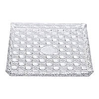 Блюдо для закусок Lirmartur скляне 24,5*20,5*2 см HP-YH-38