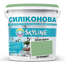 Кольорова Фарба СИЛІКОНОВА Skyline для вологих приміщень 2030-G30Y Сухоцвіт 1л