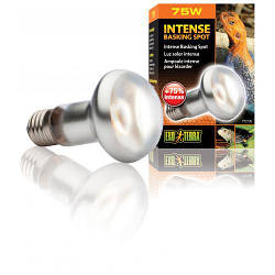 Рефлекторна лампа Exo Terra Intense Basking Spot для тераріумних тварин, денна, розжарювання, 75 W, E27 (для обігріву)