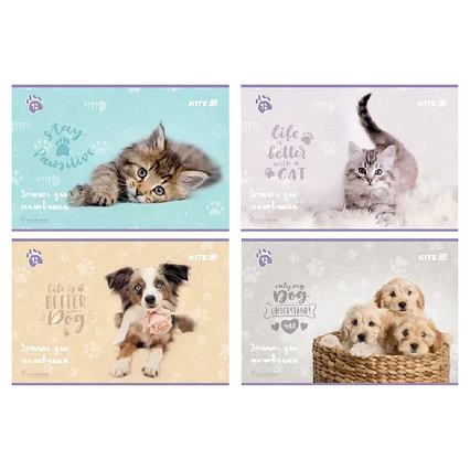 Альбом для малювання 12 арк. на скобі з софт-тач покриттям та УФ-лаком (R25-241)