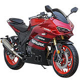 Мотоцикл SP300RS-2, фото 5