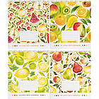 Зошит на 24 аркуші з кольоровою обкладинкою в клітинку "Мрії" "mix" Упаковка 16 шт., фото 6