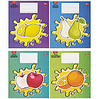 Зошит на 24 аркуші з кольоровою обкладинкою в клітинку "Мрії" "mix" Упаковка 16 шт., фото 7