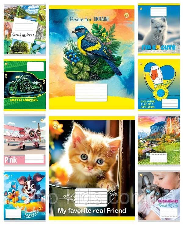 Зшитий 12 арк. # кол.обкладинка ЦІНА ЗА УП. 25ШТ, ТМ Тетрада, Україна, фото 1