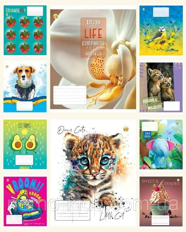 Зшитий 12 арк. = кол.обкладинка ЦІНА ЗА УП. 25ШТ, ТМ Тетрада, Україна, фото 1