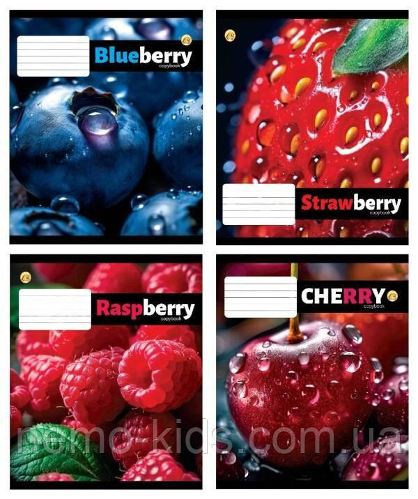 Зошит 12 арк. кос. з додатк. кол.обкладинка ЦІНА ЗА УП. 25ШТ, ТМ Тетрада, Україна, фото 1