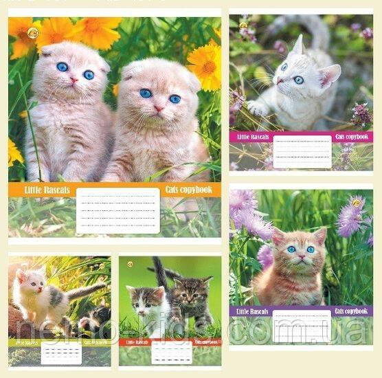 Зошит 12 лист. клітинка, Люкс "Кошенята", ЦІНА ЗА УП. 25ШТ, Тетрада, фото 1