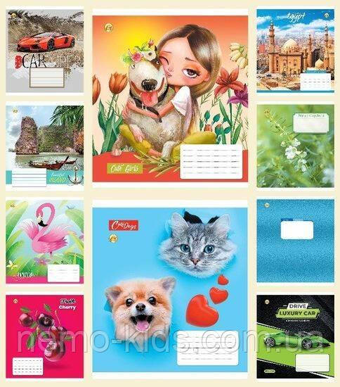 Зошит 12 лист "Люкс", клітинка, ЦІНА ЗА УП. 25ШТ, фото 1