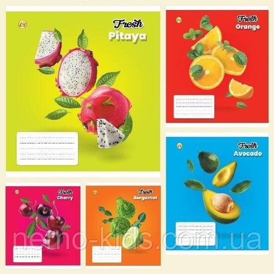 Зошит 18 лист.клітина, кол. обкладинка, ЦІНА ЗА УП. 20ШТ, Тетрада (200), фото 1