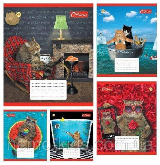 Зошит 18 лист.клітина, кол. обкладинка, ЦІНА ЗА УП. 20ШТ, Тетрада (200), фото 1