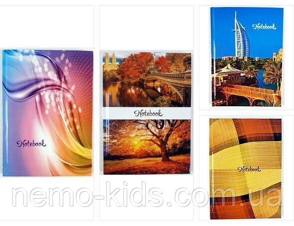 Зошит "Гармонія", А5, 96 арк., оф, клітинка, тв. обк, ТМ Колорит, Україна, фото 1