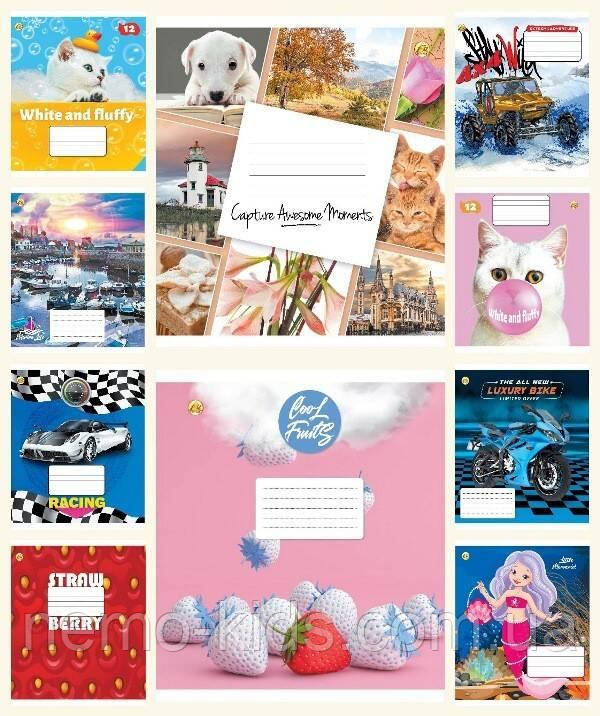 Зшитий 12 арк. # ЦІНА ЗА УП. 25ШТ "Люкс", ТМ Тетрада, Україна, фото 1