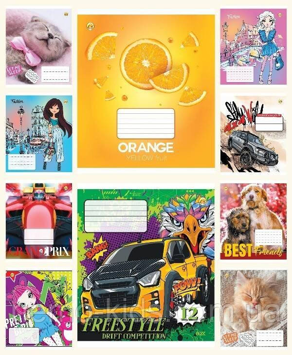 Зошит 12 арк. лінія, ЦІНА ЗА УП. 25ШТ "Люкс", ТМ Тетрада, Україна, фото 1