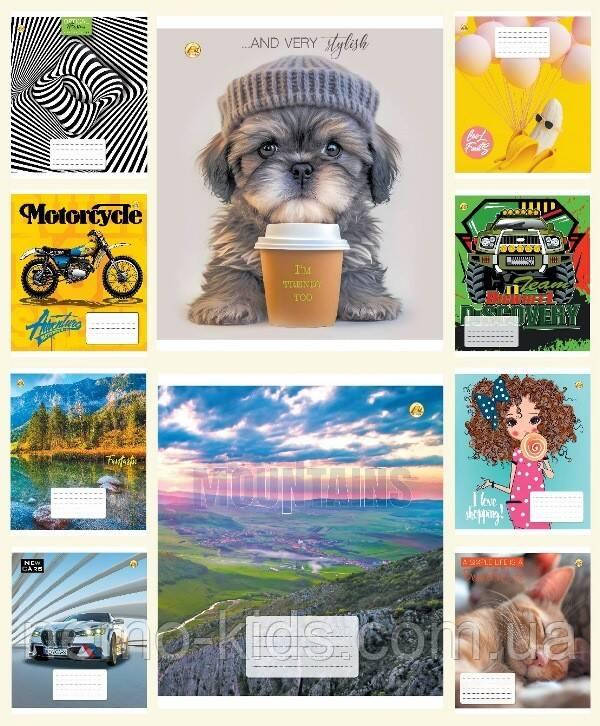 Зшитий 18 арк. = ЦІНА ЗА УП. 20ШТ "Люкс", ТМ Тетрада, Україна, фото 1