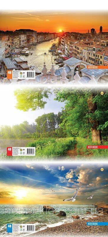 Зошит канцелярський А4 48 аркушів # офсет, ТМ Тетрада, Україна, фото 1