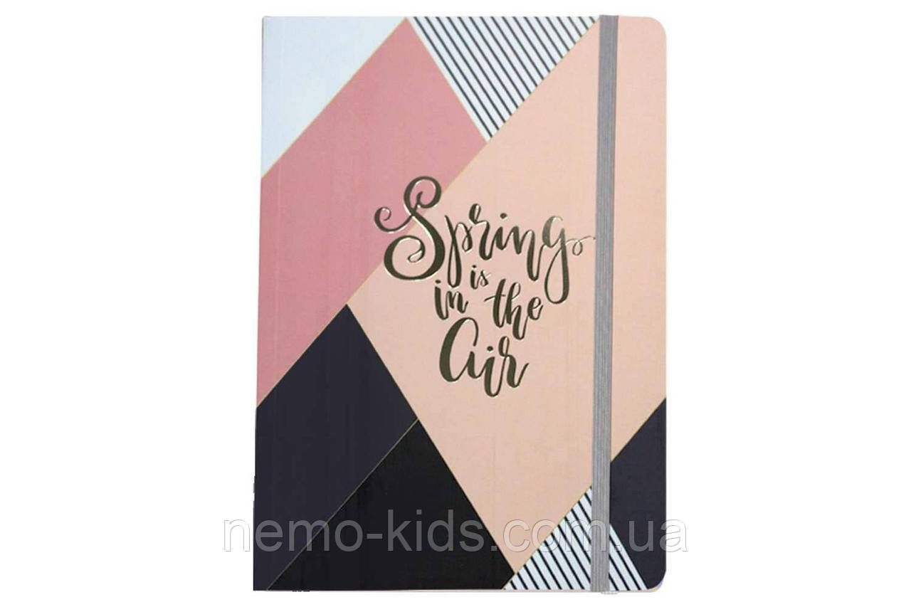 Зошит А5 на гумці, картонна обкладинка 300гр. з фольгою, 100арк, 70гр. клітинка, 21*15*1см, фото 1