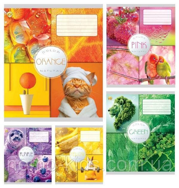 Зошит 18 арк. лінія, кольорова обкладинка, упаковка 20шт, ТМ Тетрада, Україна, фото 1