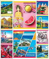 Зошит 36 аркушів лінія, кольорова обкладинка Мікс-1, упаковка 20шт, ТМ Тетрада, Україна