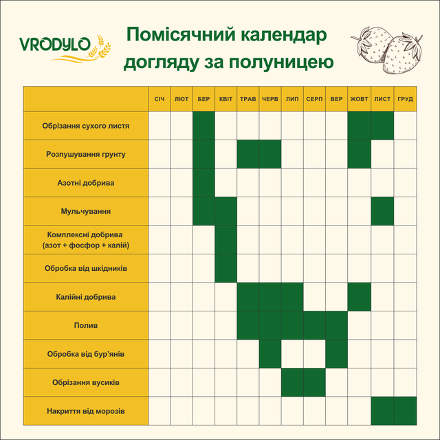 Календар догляду за полуницею по місяцях