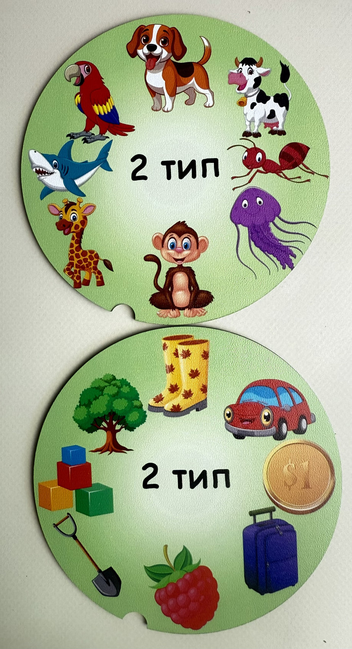 Змінні кола на 2 тип ССС (2 шт), фото 1