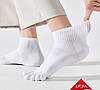 Жіночі шкарпетки з пальцями (36-39) повсякденні, фото 7