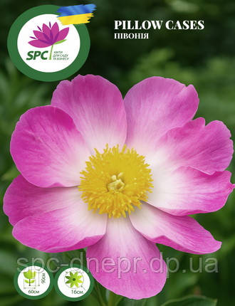 Півонія Pillow Cases
