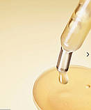 Омолоджуюча нічна сиворотка для обличчя Estee Lauder Advanced Night Repair 7 ml, фото 2