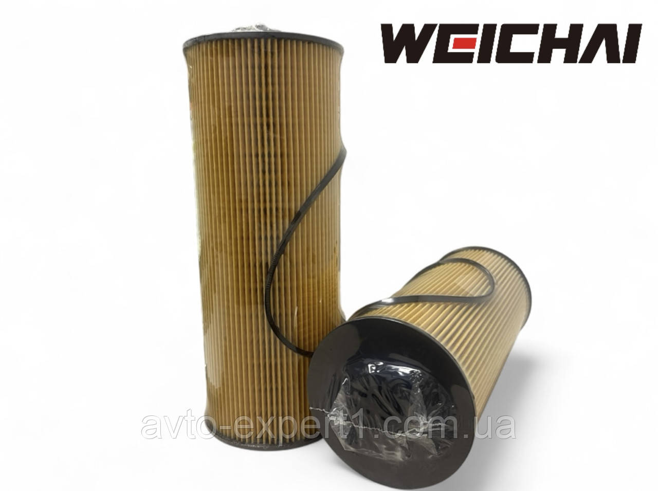 Паливний фільтр-вставка 812700080124 Weichai, фото 1