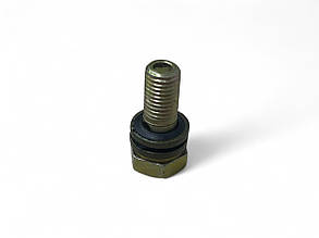 Штуцер зворотного ефекту форсунки Ricardo у зборі з метало-гумовими шайбами