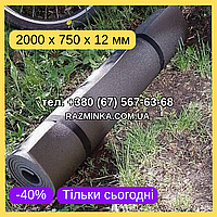 Мін. замовлення від 10 шт! Великий каремат 2000*750*12мм (без резинок) | каремати для намету