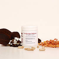 Капсулы кордицепса военного (Cordyceps Military)