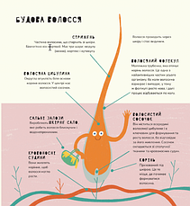 Книга «Книжка про волосся». Автор - Маріона Толоса Сістере, фото 5