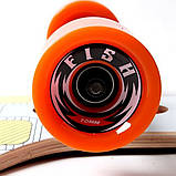 Довгий лонгборд 102х22см, до 100кг, Fish, Майя / Скейтборд з дерев'яною декою / Дитячий скейт, фото 3