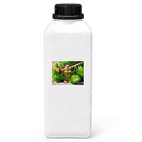 Екстракт евкаліпту для хвойних  ван, 100 мл