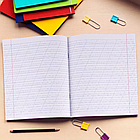 Набір зошитів на 12 аркушів коса з дод. лінією ДЕЛЬТА "Мрія" 2326 Упаковка 20 шт., фото 6