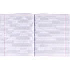 Набір зошитів на 12 аркушів коса з дод. лінією ДЕЛЬТА "Мрія" 2326 Упаковка 20 шт., фото 10