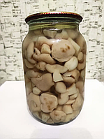 Гриби — дари Лісу