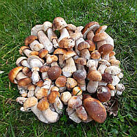 Гриби Білі мариновані. Ціна за 1ну літрову банку