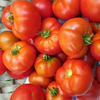 Томат "Видимо-невидимо" 30шт