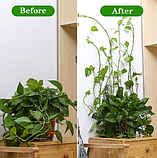 Настінні кліпси для кріплення та підв'язки рослин, 1 шт Зелені, фото 4