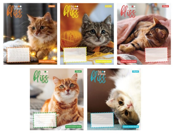 Зошит 12_арк. лінія "1 Вересня" / Bliss