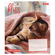 Зошит 12_арк. лінія "1 Вересня" / Bliss, фото 3