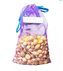 Цибуля Штутгартен Стенфілд Broer - 1 кг