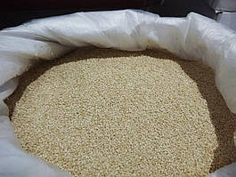 Кунжут 99,98% Iндiя Оазіс 25кг