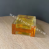 Парфуми Чоловічі Hermes Terre d'Hermes Eau Intense Vetiver 100 ml Терре Гермес Інтенс Ветівер 100 мл, фото 5